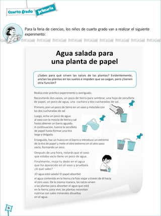 Cuarto grado primaria
6
Para la feria de ciencias, los niños de cuarto grado van a realizar el siguiente
experimento:
Agua salada para
una planta de papel
¿Sabes para qué sirven las raíces de las plantas? Evidentemente,
anclan las plantas en los suelos e impiden que se caigan, pero ¿tienen
otra función?
Realiza este práctico experimento y averígualo.
Necesitarás dos vasos, un poco de tierra para sembrar, una hoja de servilleta
de papel, un poco de agua, una cuchara y dos cucharadas de sal.
Enseguida, haz un hueco en el barro e introduce un extremo
de la tira de papel y mete el otro extremo en el otro vaso
vacío, formando un arco.
Después de una hora, notarás que el vaso
que estaba vacío tiene un poco de agua.
Finalmente, moja tu dedo en el agua
que ha aparecido en el vaso y pruébala.
¿A qué sabe?
¡El agua está salada! El papel absorbió
el agua contenida en la tierra y la hizo viajar a través de él hacia
el otro vaso. De la misma manera, las raíces sirven
a las plantas para absorber el agua que está
en la tierra; para vivir, las plantas necesitan
nutrirse con sales minerales disueltas
en el agua.
Primero, pon un poco de tierra en un vaso y mézclala con
las dos cucharadas de sal.
Luego, echa un poco de agua
al vaso con la mezcla de tierra y sal
hasta obtener un barro aguado.
A continuación, tuerce la servilleta
de papel hasta formar una tira
larga y delgada.
 