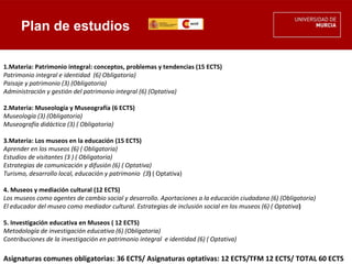 Plan de estudios

1.Materia: Patrimonio integral: conceptos, problemas y tendencias (15 ECTS)
Patrimonio integral e identidad (6) Obligatoria)
Paisaje y patrimonio (3) (Obligatoria)
Administración y gestión del patrimonio integral (6) (Optativa)
 
2.Materia: Museología y Museografía (6 ECTS)
Museología (3) (Obligatoria)
Museografía didáctica (3) ( Obligatoria)
 
3.Materia: Los museos en la educación (15 ECTS)
Aprender en los museos (6) ( Obligatoria)
Estudios de visitantes (3 ) ( Obligatoria)
Estrategias de comunicación y difusión (6) ( Optativa)
Turismo, desarrollo local, educación y patrimonio (3) ( Optativa)
 
4. Museos y mediación cultural (12 ECTS)
Los museos como agentes de cambio social y desarrollo. Aportaciones a la educación ciudadana (6) (Obligatoria)
El educador del museo como mediador cultural. Estrategias de inclusión social en los museos (6) ( Optativa)

5. Investigación educativa en Museos ( 12 ECTS)
Metodología de investigación educativa (6) (Obligatoria)
Contribuciones de la investigación en patrimonio integral e identidad (6) ( Optativa)
  
Asignaturas comunes obligatorias: 36 ECTS/ Asignaturas optativas: 12 ECTS/TFM 12 ECTS/ TOTAL 60 ECTS
 
