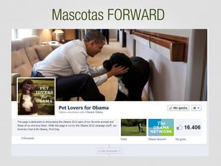 Mascotas FORWARD

 