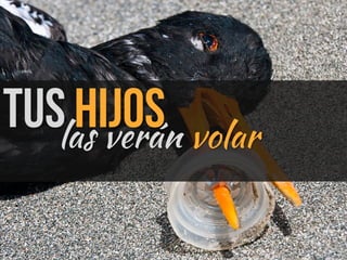 Tus hijoslas verán volar
 