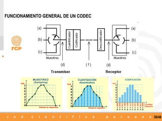 FUNCIONAMIENTO GENERAL DE UN CODEC




                                     30/48
 