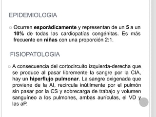 EPIDEMIOLOGIA


Ocurren esporádicamente y representan de un 5 a un
10% de todas las cardiopatías congénitas. Es más
frecuente en niñas con una proporción 2:1.

FISIOPATOLOGIA


A consecuencia del cortocircuito izquierda-derecha que
se produce al pasar libremente la sangre por la CIA,
hay un hiperflujo pulmonar. La sangre oxigenada que
proviene de la AI, recircula inútilmente por el pulmón
sin pasar por la CS y sobrecarga de trabajo y volumen
sanguíneo a los pulmones, ambas aurículas, el VD y
las aP.

 