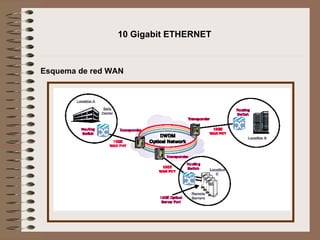 10 Gigabit ETHERNET Esquema de red WAN  