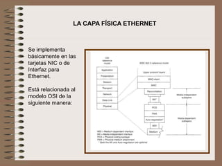 LA CAPA FÍSICA ETHERNET
Se implementa
básicamente en las
tarjetas NIC o de
Interfaz para
Ethernet.
Está relacionada al
modelo OSI de la
siguiente manera:
 