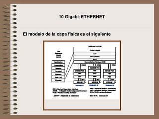 10 Gigabit ETHERNET
El modelo de la capa física es el siguiente
 
