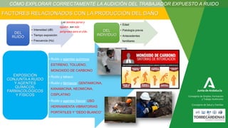 FACTORES RELACIONADOS CON LA PRODUCCIÓN DEL DAÑO
• Ruido y agentes químicos:
ESTIRENO, TOLUENO,
MONOXIDO DE CARBONO
• Ruido y tabaco
• Ruido y fármacos: GENTAMICINA,
KANAMICINA, NEOMICINA,
CISPLATINO
• Ruido y agentes físicos: USO
HERRAMIENTA VIBRATORIAS
PORTÁTILES Y “DEDO BLANCO”
EXPOSICIÓN
CONJUNTA A RUIDO
Y AGENTES
QUÍMICOS,
FARMACOLÓGICOS
Y FÍSICOS
• Intensidad (dB)
• Tiempo exposición
• Frecuencia (Hz)
DEL
RUIDO
· Los sonidos puros y
agudos, son más
peligrosos para el oído.
• Edad
• Patología previa
• Antecedentes
familiares
DEL
INDIVIDUO
CÓMO EXPLORAR CORRECTAMENTE LA AUDICIÓN DEL TRABAJADOR EXPUESTO A RUIDO
Consejería de Empleo, Formación
y Trabajo Autónomo
Consejería de Salud y Familias
 