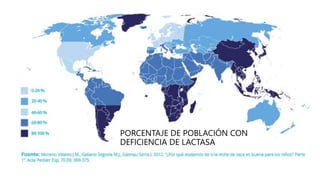 PORCENTAJE DE POBLACIÓN CON
DEFICIENCIA DE LACTASA
 