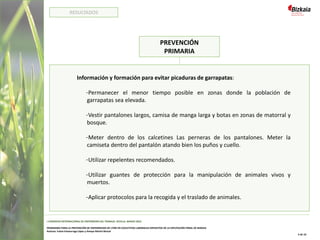 PREVENCIÓN
PRIMARIA
Información y formación para evitar picaduras de garrapatas:
-Permanecer el menor tiempo posible en zonas donde la población de
garrapatas sea elevada.
-Vestir pantalones largos, camisa de manga larga y botas en zonas de matorral y
bosque.
-Meter dentro de los calcetines Las perneras de los pantalones. Meter la
camiseta dentro del pantalón atando bien los puños y cuello.
-Utilizar repelentes recomendados.
-Utilizar guantes de protección para la manipulación de animales vivos y
muertos.
-Aplicar protocolos para la recogida y el traslado de animales.
I CONGRESO INTERNACIONAL DE ENFERMERÍA DEL TRABAJO. SEVILLA, MARZO 2022
PROGRAMA PARA LA PREVENCIÓN DE ENFERMEDAD DE LYME EN COLECTIVOS LABORALES EXPUESTOS DE LA DIPUTACIÓN FORAL DE BIZKAIA
Autoras: Iratxe Intxaurraga López y Amaya Martín Benzal
5 de 10
RESULTADOS
 