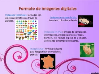 Imágenes vectoriales: formadas con
objetos geométricos a través de
gráficos.
Imágenes en mapa de bits:
inserta el color desde la raíz
Imágenes en JPG: Formato de compresión
de imágenes, utilizado para crear logos,
banners, etc. Reduce el peso de la imagen,
acelerando el tiempo de descarga.
Imágenes GIF: formato utilizado
para fotografías y animaciones
gráficas.
 
