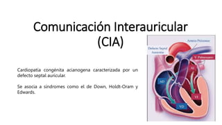 Comunicación Interauricular
(CIA)
Cardiopatía congénita acianogena caracterizada por un
defecto septal auricular.
Se asocia a síndromes como el de Down, Holdt-Oram y
Edwards.
 
