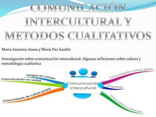 María Assumta Aneas y María Paz Sandín
Investigación sobre comunicación intercultural: Algunas reflexiones sobre cultura y
metodología cualitativa
 