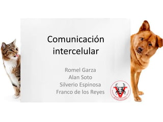 Comunicación 
intercelular 
Romel Garza 
Alan Soto 
Silverio Espinosa 
Franco de los Reyes 
 