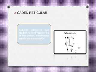 O CADEN RETICULAR
Algunas personas que
reciben la información no
la transmiten, cortándose
en ellas la transmisión.
 
