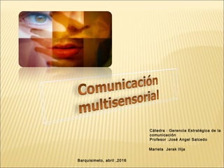 Marieta Jerak Ilija
Barquisimeto, abril ,2016
Cátedra : Gerencia Estratégica de la
comunicación
Profesor :José Angel Salcedo
 