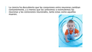 La ciencia ha descubierto que las conexiones entre neuronas cambian
contantemente, y a menos que las utilicemos o estimulemos las
neuronas y las conexiones neuronales, tanto estas como aquellas
mueren.
 
