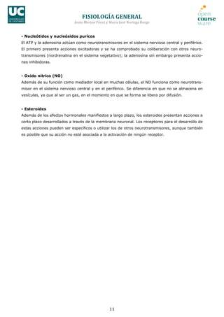 FISIOLOGÍA	
  GENERAL	
  
Jesús	
  Merino	
  Pérez	
  y	
  María	
  José	
  Noriega	
  Borge	
  
11	
  
- Nucleótidos y nucleósidos purícos
El ATP y la adenosina actúan como neurotransmisores en el sistema nervioso central y periférico.
El primero presenta acciones excitadoras y se ha comprobado su coliberación con otros neuro-
transmisores (nordrenalina en el sistema vegetativo); la adenosina sin embargo presenta accio-
nes inhibidoras.
- Oxido nitrico (NO)
Además de su función como mediador local en muchas células, el NO funciona como neurotrans-
misor en el sistema nervioso central y en el periférico. Se diferencia en que no se almacena en
vesículas, ya que al ser un gas, en el momento en que se forma se libera por difusión.
- Esteroides
Además de los efectos hormonales manifiestos a largo plazo, los esteroides presentan acciones a
corto plazo desarrollados a través de la membrana neuronal. Los receptores para el desarrollo de
estas acciones pueden ser específicos o utilizar los de otros neurotransmisores, aunque también
es posible que su acción no esté asociada a la activación de ningún receptor.
 