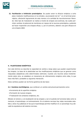 FISIOLOGÍA	
  GENERAL	
  
Jesús	
  Merino	
  Pérez	
  y	
  María	
  José	
  Noriega	
  Borge	
  
8	
  
2) Facilitación e inhibición presináptica. Se puede variar la eficacia sináptica a corto
plazo mediante modificaciones en la entrada y acumulación de Ca++
en el terminal presi-
náptico, afectando logicamente de esta manera a la cantidad de neurotransmisor libera-
do. Este tipo de modulación se realiza a través de sinapsis axo-axónicas, las cuales per-
miten cambiar el potencial de membrana en reposo de la neurona presináptica, pudiendo
así hacer inoperante una sinapsis eficaz; o, por el contrario, obtener una gran eficacia en
una sinapsis débil.
4. PLASTICIDAD SINÁPTICA
Con este término se describe la capacidad de cambio a largo plazo que pueden experimentar
las sinapsis. La base de la plasticidad son las modificaciones sinápticas que se generan como
respuestas adaptativas ante determinados estímulos. Cuando una neurona actúa insistente-
mente sobre otra, se establece un mecanismo de reforzamiento sináptico entre ellas, lo que
hace más fácil y probable su siguiente interacción.
Estos cambios pueden ser de forma genérica de dos tipos:
4.1 Cambios morfológicos, que conllevan un cambio estructural permanente como:
• Incremento de la superficie sináptica.
• Formación de nuevas sinapsis.
• Traslocación de contactos sinápticos, etc.
Afectan al número y a la localización de las sinapsis y son el sustrato de funciones tales como la
memoria, el aprendizaje o el entrenamiento. En el sistema nervioso hay redes neuronales esta-
bles y otras muy plásticas en las que el aprendizaje permite modificar en un porcentaje muy ele-
vado la arquitectura del sistema nervioso.
 