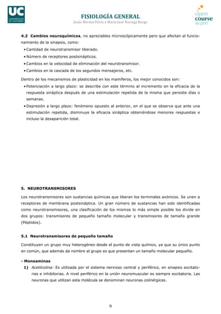 FISIOLOGÍA	
  GENERAL	
  
Jesús	
  Merino	
  Pérez	
  y	
  María	
  José	
  Noriega	
  Borge	
  
9	
  
4.2 Cambios neuroquímicos, no apreciables microscópicamente pero que afectan al funcio-
namiento de la sinapsis, como:
• Cantidad de neurotransmisor liberado.
• Número de receptores postsinápticos.
• Cambios en la velocidad de eliminación del neurotransmisor.
• Cambios en la cascada de los segundos mensajeros, etc.
Dentro de los mecanismos de plasticidad en los mamíferos, los mejor conocidos son:
• Potenciación a largo plazo: se describe con este término al incremento en la eficacia de la
respuesta sináptica después de una estimulación repetida de la misma que persiste días o
semanas.
• Depresión a largo plazo: fenómeno opuesto al anterior, en el que se observa que ante una
estimulación repetida, disminuye la eficacia sináptica obteniéndose menores respuestas e
incluso la desaparición total.
5. NEUROTRANSMISORES
Los neurotransmisores son sustancias químicas que liberan los terminales axónicos. Se unen a
receptores de membrana postsináptica. Un gran número de sustancias han sido identificadas
como neurotransmisores, una clasificación de los mismos lo más simple posible los divide en
dos grupos: transmisores de pequeño tamaño molecular y transmisores de tamaño grande
(Péptidos).
5.1 Neurotransmisores de pequeño tamaño
Constituyen un grupo muy heterogéneo desde el punto de vista químico, ya que su único punto
en común, que además da nombre al grupo es que presentan un tamaño molecular pequeño.
- Monoaminas
1) Acetilcolina: Es utilizada por el sistema nervioso central y periférico, en sinapsis excitato-
rias e inhibitorias. A nivel periférico en la unión neuromuscular es siempre excitatoria. Las
neuronas que utilizan esta molécula se denominan neuronas colinérgicas.
 