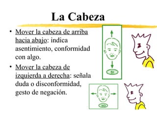 La Cabeza
• Mover la cabeza de arriba
hacia abajo: indica
asentimiento, conformidad
con algo.
• Mover la cabeza de
izquierda a derecha: señala
duda o disconformidad,
gesto de negación.
 