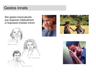 Gestos innats Són gestos transculturals que responen habitualment a l’expressió d’estats d’ànim  