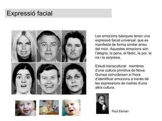 Expressió facial Les emocions bàsiques tenen una expressió facial universal, que es manifesta de forma similar arreu del món. Aquestes emocions són l’alegria, la pena, el fàstic, la por, la ira i la sorpresa. Estudi transcultural:  membres d’una cultura primitiva de Nova Guinea coincideixen a l’hora d’identificar emocions a través de les expressions de rostres d’una altra cultura.  Paul Ekman 