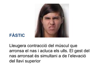 FÀSTIC  Lleugera contracció del múscul que arronsa el nas i acluca els ulls. El gest del nas arronsat és simultani a de l’elevació del llavi superior  