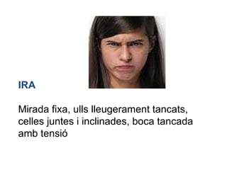 IRA Mirada fixa, ulls lleugerament tancats, celles juntes i inclinades, boca tancada amb tensió 