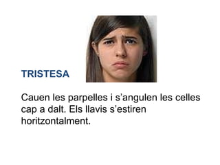 TRISTESA Cauen les parpelles i s’angulen les celles cap a dalt. Els llavis s’estiren horitzontalment. 