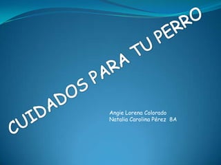 CUIDADOS PARA TU PERRO Angie Lorena Colorado Natalia Carolina Pérez  8A 