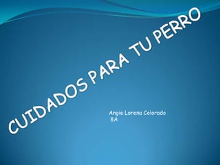 CUIDADOS PARA TU PERRO Angie Lorena Colorado 8A 