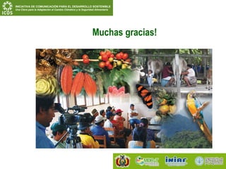 Comunicacion para el desarrollo claudia baya fao bolivia