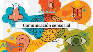 Comunicación sensorial
 