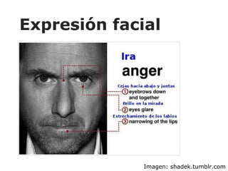 Expresión facial Imagen: shadek.tumblr.com 