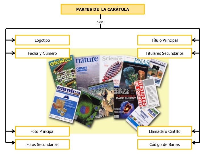Cuales Son Las Partes De La Revista