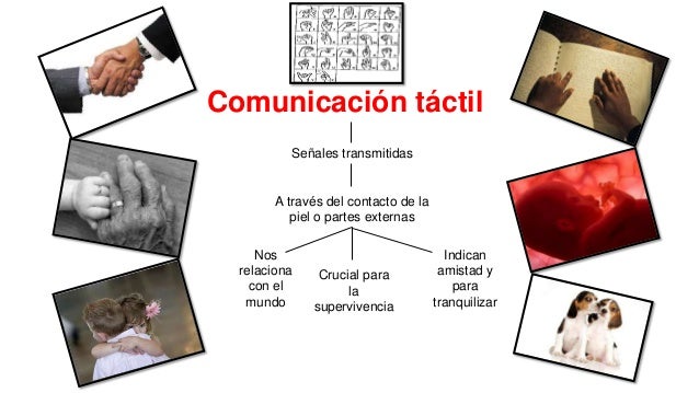 Comunicacion Tactil 1