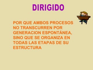 DIRIGIDO POR QUE AMBOS PROCESOS NO TRANSCURREN POR GENERACION ESPONTÁNEA, SINO QUE SE ORGANIZA EN TODAS LAS ETAPAS DE SU ESTRUCTURA  
