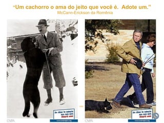 “Um cachorro o ama do jeito que você é. Adote um.”
                McCann-Erickson da Romênia
 