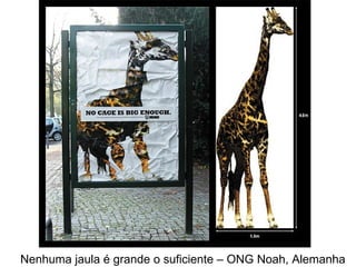 Nenhuma jaula é grande o suficiente – ONG Noah, Alemanha
 