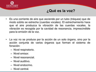 • Es una corriente de aire que asciende por un tubo (tráquea) que de
modo súbito se estrecha (cuerdas vocales). El estrechamiento hace
que el aire produzca la vibración de las cuerdas vocales, la
vibración es recogida por la cavidad de resonancia, imprescindible
para la emisión de la voz.
• La voz no se produce por la acción de un solo órgano, sino por la
acción conjunta de varios órganos que forman el sistema de
fonación:
– Nivel respiratorio.
– Nivel emisor.
– Nivel resonancial.
– Nivel auditivo.
– Nivel endocrino.
– Nivel central.
¿Qué es la voz?
 