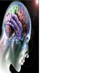 Comunicações mediúnicas!