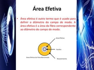 Área Efetiva
• Área efetiva é outro termo que é usado para
  definir o diâmetro do campo de modo. A
  área efetiva é a área da fibra correspondente
  ao diâmetro do campo de modo.
 