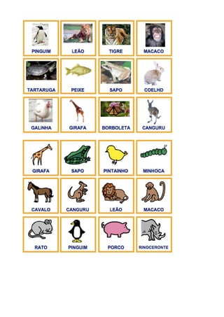 Comunicação alternativa