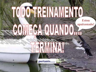 Estou
                 apaixonado!




portanto......
 