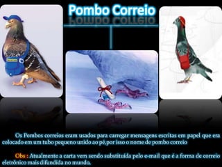 Pombo CorreioOs Pombos correios eram usados para carregar mensagens escritas em papel que era colocado em um tubo pequeno unido ao pé,por isso o nome de pombo correioObs : Atualmente a carta vem sendo substituída pelo e-mail que é a forma de correio eletrônico mais difundida no mundo.