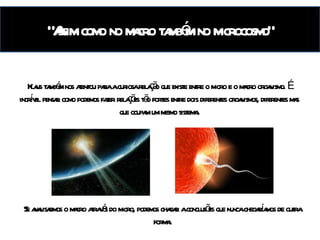 “ Assim como no macro também no microcosmo” Klaus também nos atentou para a curiosa relação que existe entre o micro e o macro organismo. É incrível pensar como podemos fazer relações tão fortes entre dois diferentes organismos, diferentes mas que ocupam um mesmo sistema. Se analisarmos o macro através do micro, podemos chagar a conclusões que nunca chegaríamos de outra forma. 