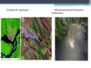 Estudos de vegetação Monitoramento de Desastres
Ambientais
