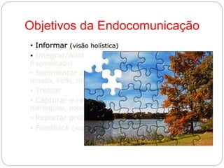 Objetivos da Endocomunicação