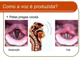Como a voz é produzida? Pelas pregas vocais Respiração Fala 