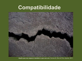 Compatibilidade

Aquilo que nos separa é também o que nos une. Gomes M, Ilha do Pico, Açores, 2011.

 