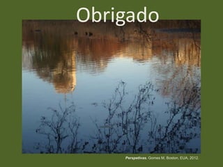 Obrigado

Perspetivas. Gomes M, Boston, EUA, 2012.

 